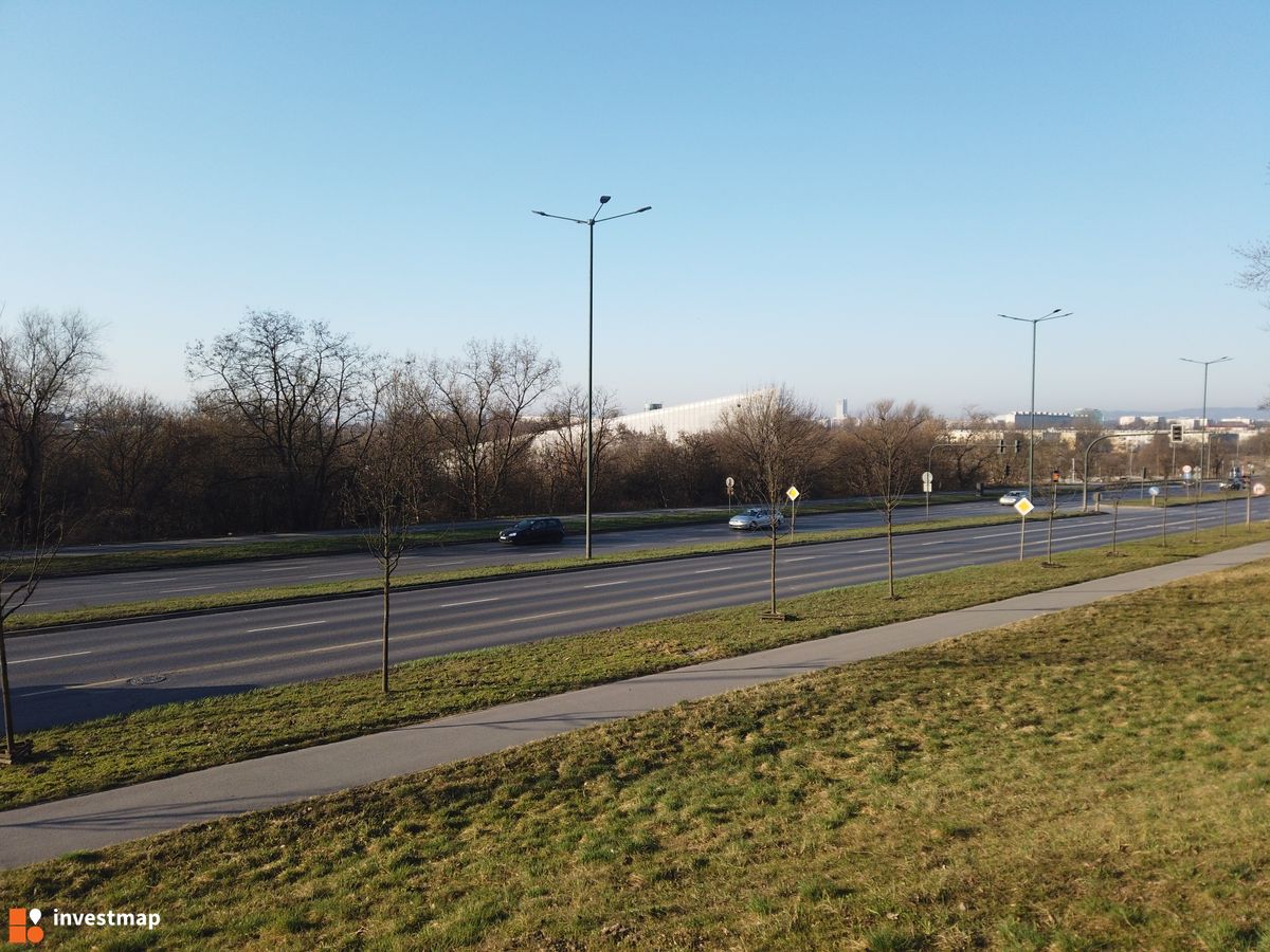 Zdjęcie Cogiteon fot. Damian Daraż 