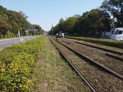 fot. Damian Daraż