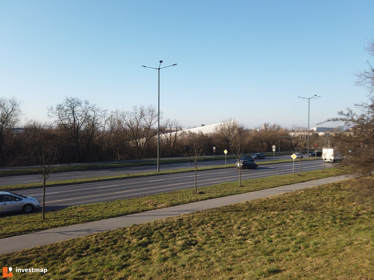 Zdjęcie Cogiteon fot. Damian Daraż 