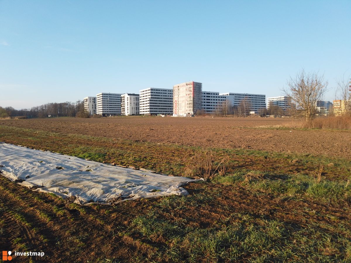 Zdjęcie Piasta Park fot. Damian Daraż 