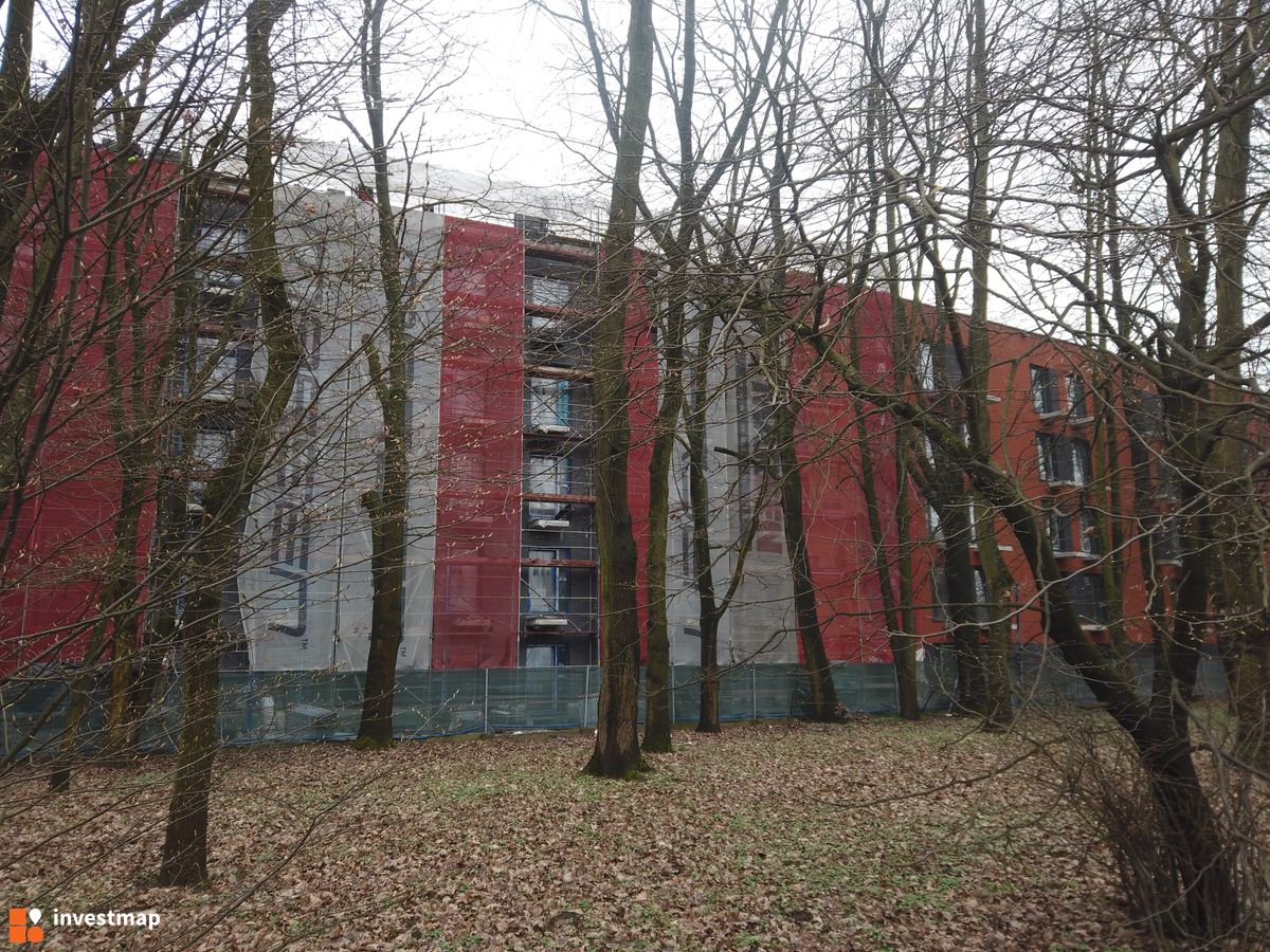 Zdjęcie Al. Pokoju 64 fot. Damian Daraż 