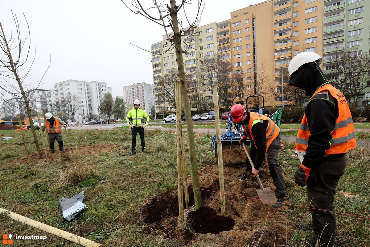 Zdjęcie Linia tramwajowa na Wilanów fot. Orzech 