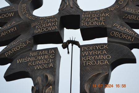 fot. Damian Daraż