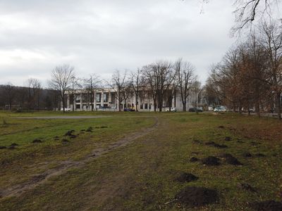 fot. Damian Daraż