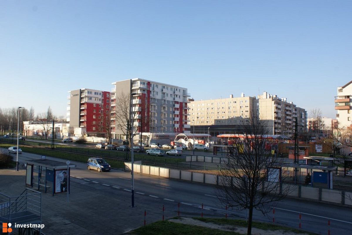 Zdjęcie Srebrnych Orłów 1J fot. Damian Daraż 