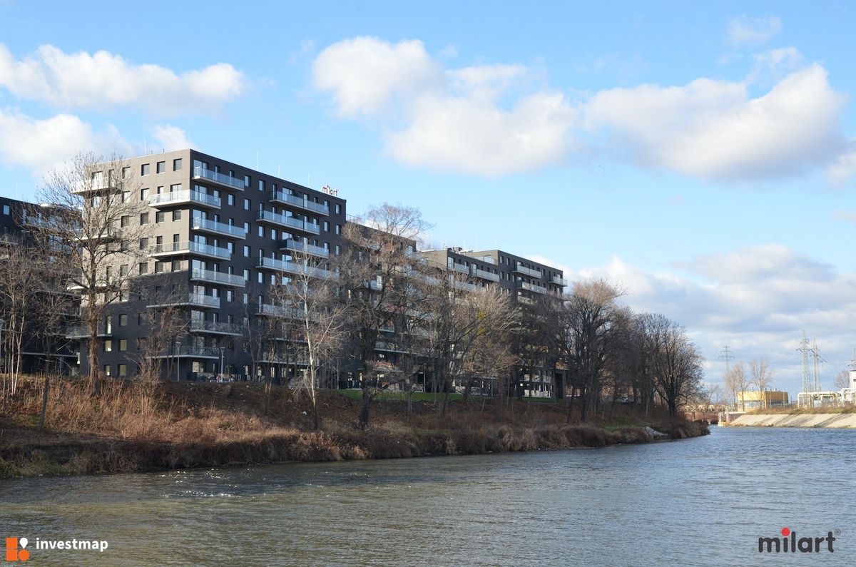 Zdjęcie Kępa Mieszczańska (Milart) fot. milart