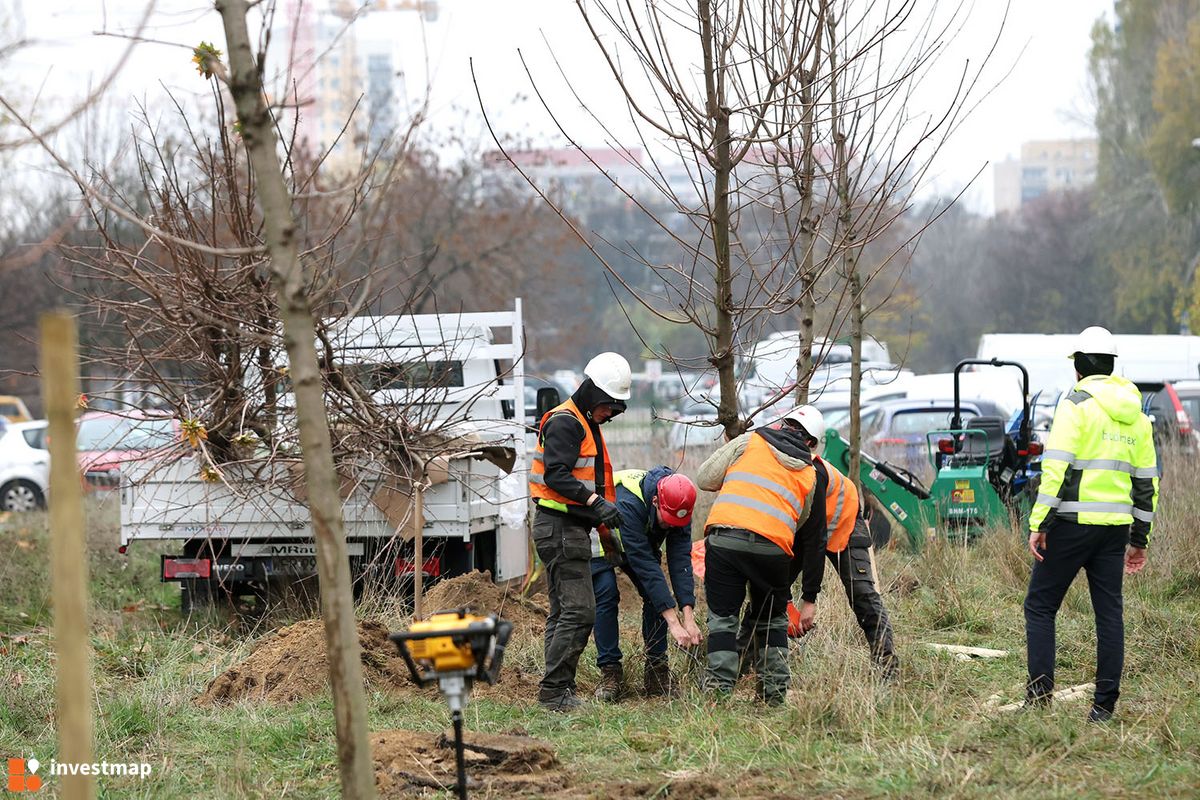 Zdjęcie Linia tramwajowa na Wilanów fot. Orzech 