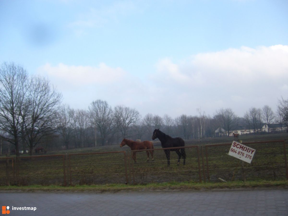 Zdjęcie Zielone Stabłowice fot. Orzech 