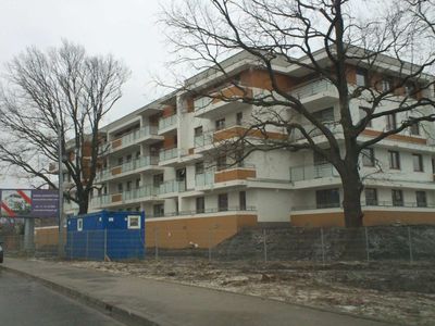 fot. Orzech