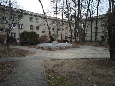 fot. Damian Daraż