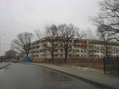 fot. Orzech