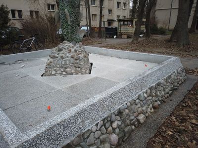 fot. Damian Daraż