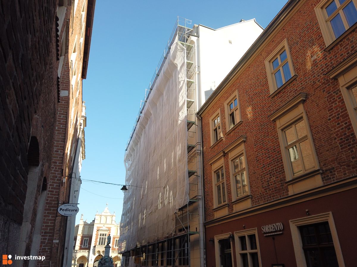 Zdjęcie Sienna 2 fot. Damian Daraż 