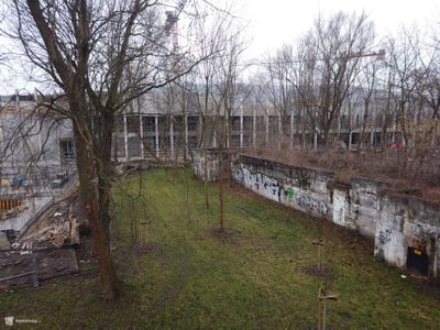 fot. Damian Daraż