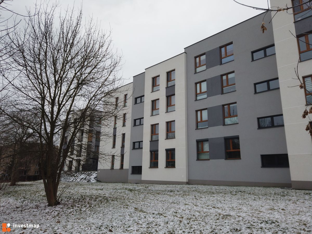 Zdjęcie Nowy Horyzont fot. Damian Daraż 