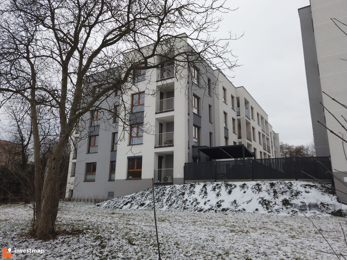 Zdjęcie Nowy Horyzont fot. Damian Daraż 