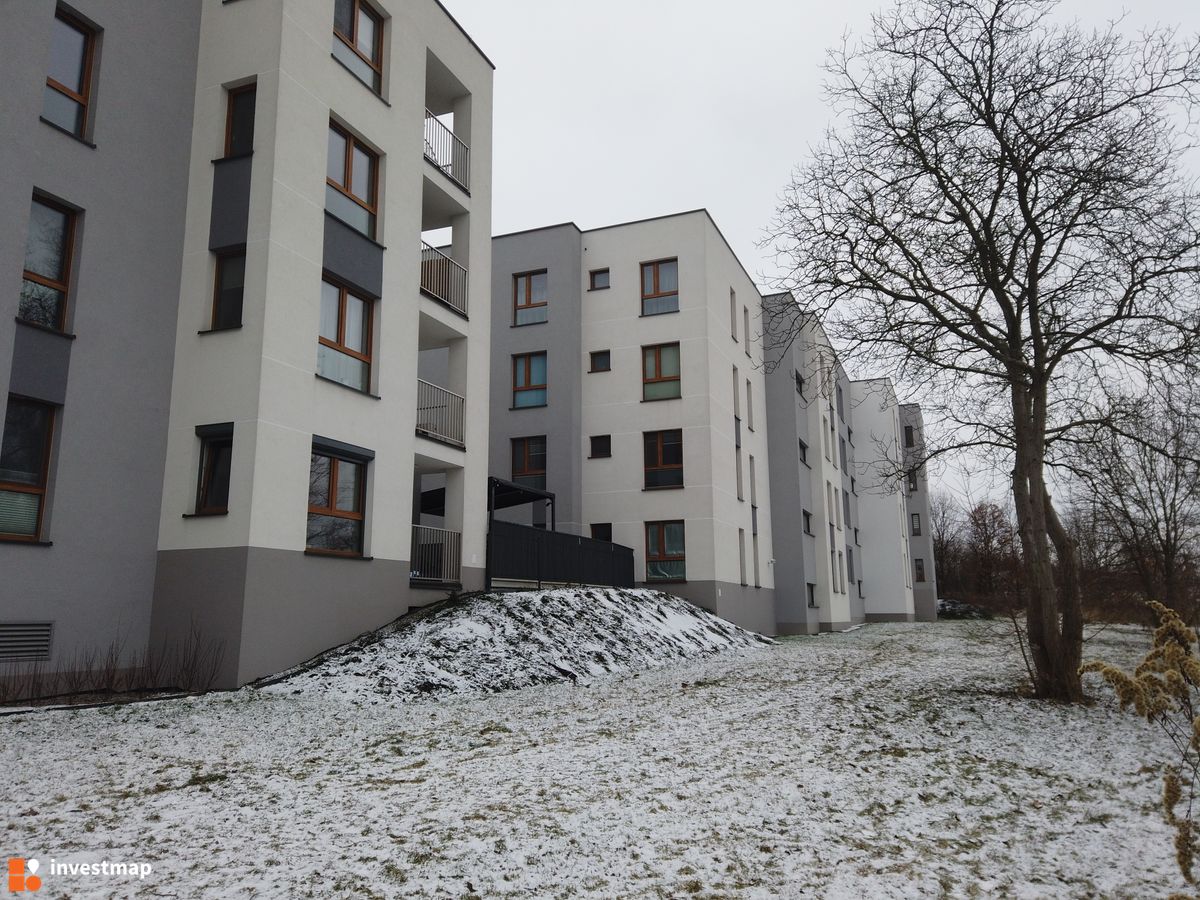 Zdjęcie Nowy Horyzont fot. Damian Daraż 