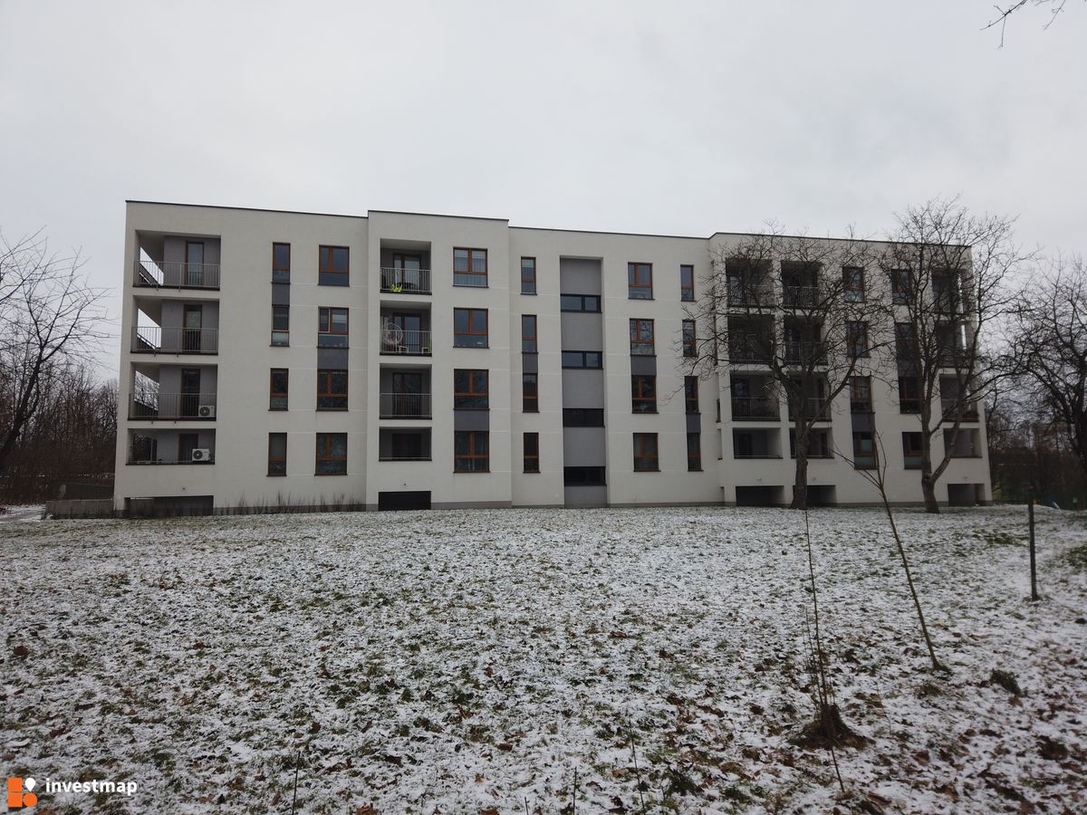 Zdjęcie Nowy Horyzont fot. Damian Daraż 