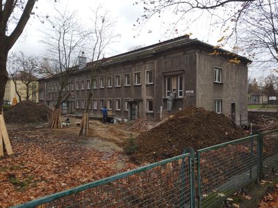 fot. Damian Daraż