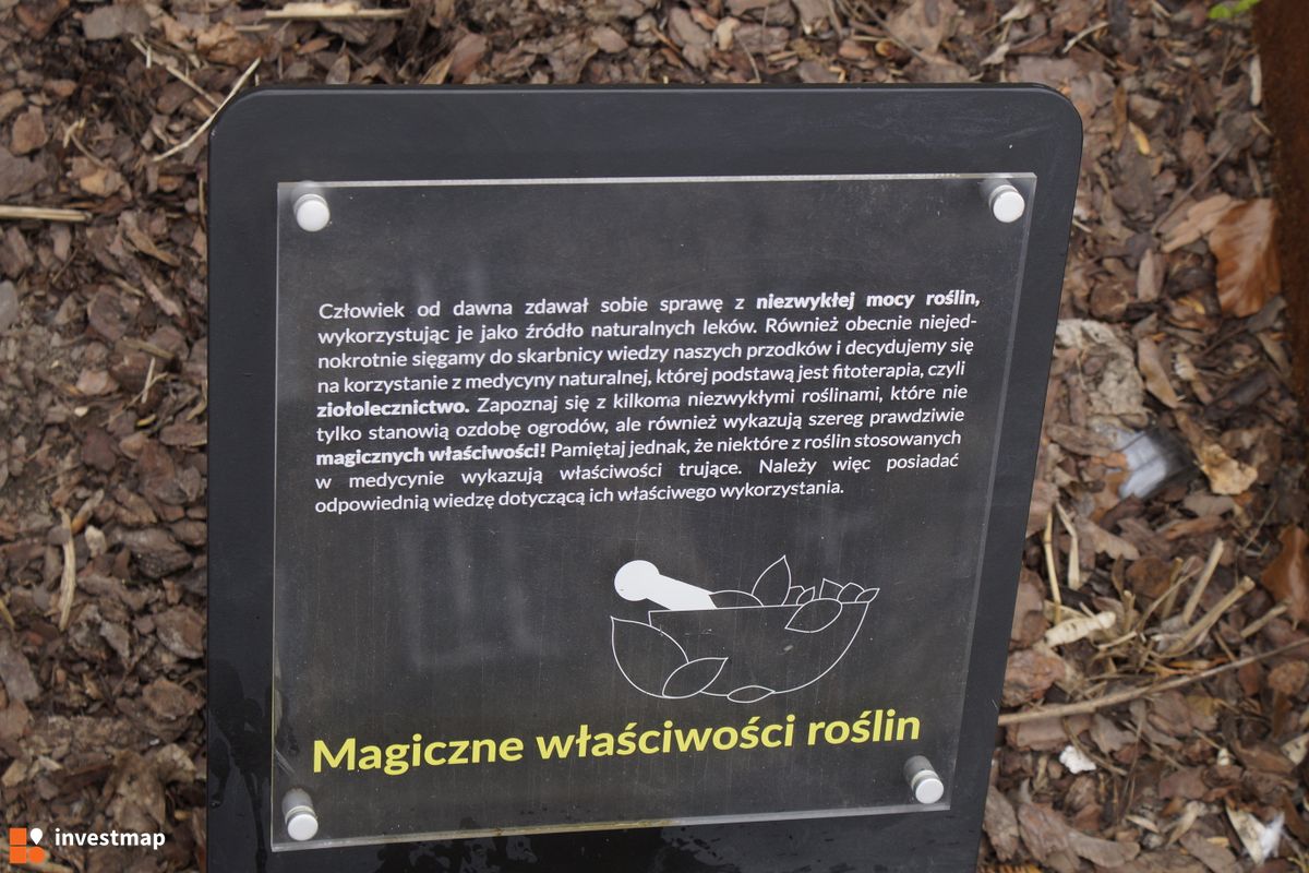 Zdjęcie Park, ul. Skwerowa fot. Damian Daraż 