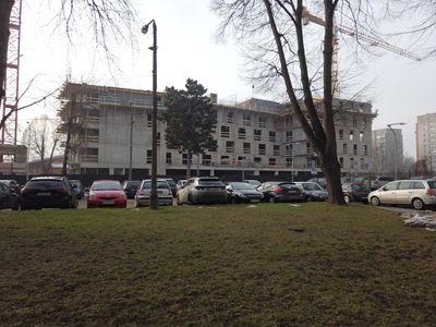 fot. Damian Daraż