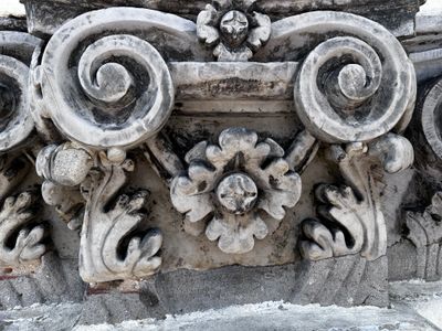fot. Orzech