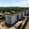 AFI Home Czyżewskiego