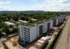 AFI Home Czyżewskiego