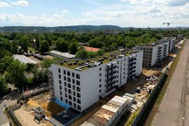 AFI Home Czyżewskiego