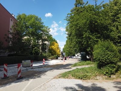 fot. Damian Daraż