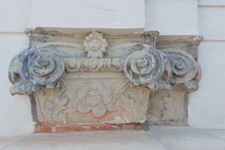 fot. Orzech