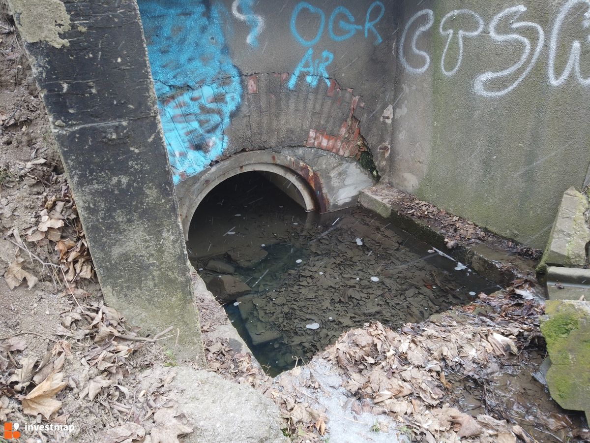 Zdjęcie Ulica Kocmyrzowska fot. Damian Daraż 