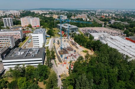 fot. Orzech