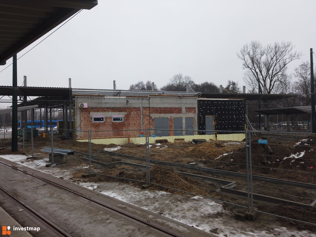 Zdjęcie Pętla Wzgórza Krzesławickie fot. Damian Daraż 