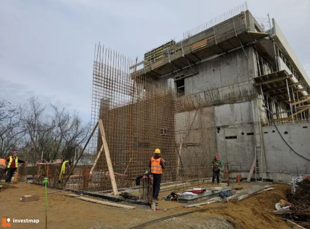 Zdjęcie Kosmos fot. Orzech 