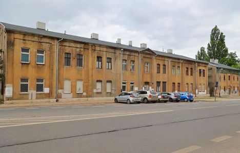 fot. Orzech