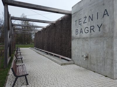 fot. Damian Daraż