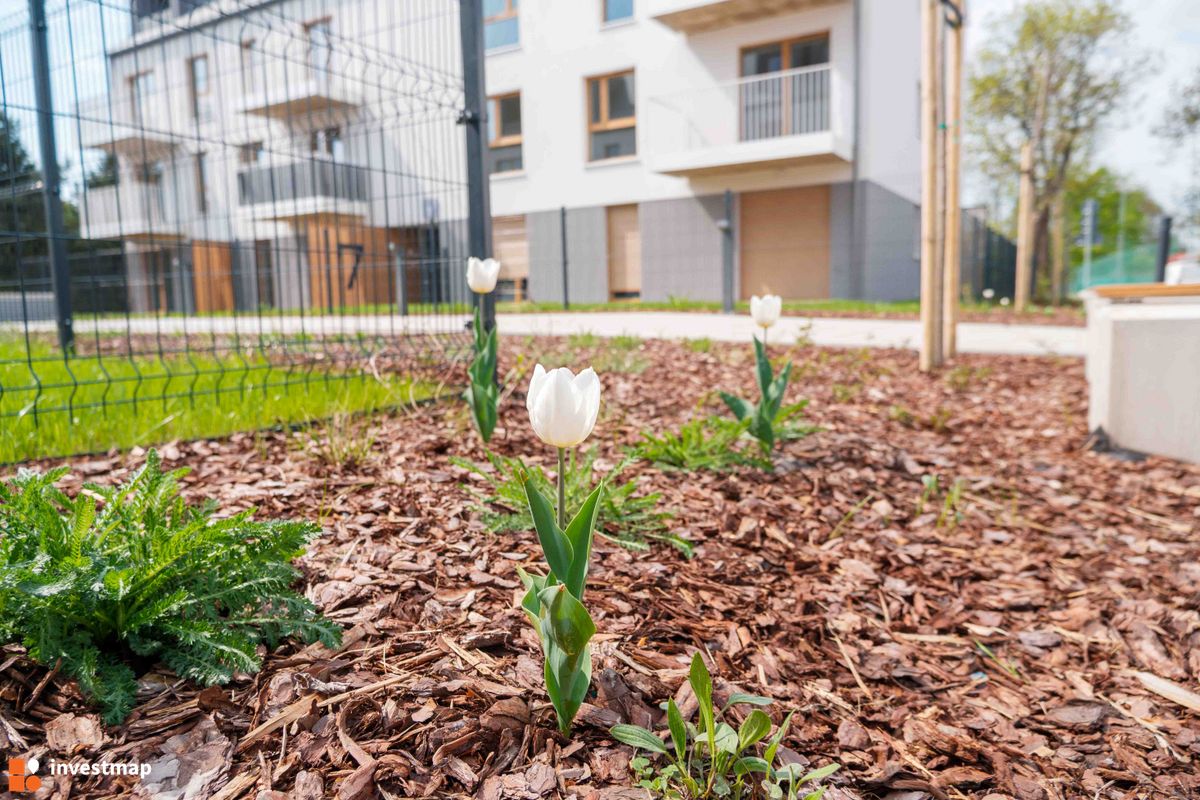 Zdjęcie Wiaduktowa fot. PROFIT Development