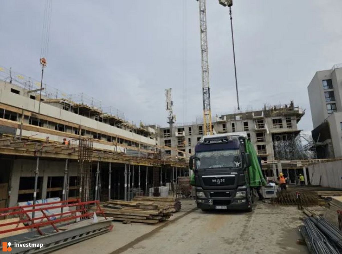 Zdjęcie Kosmos fot. Orzech 