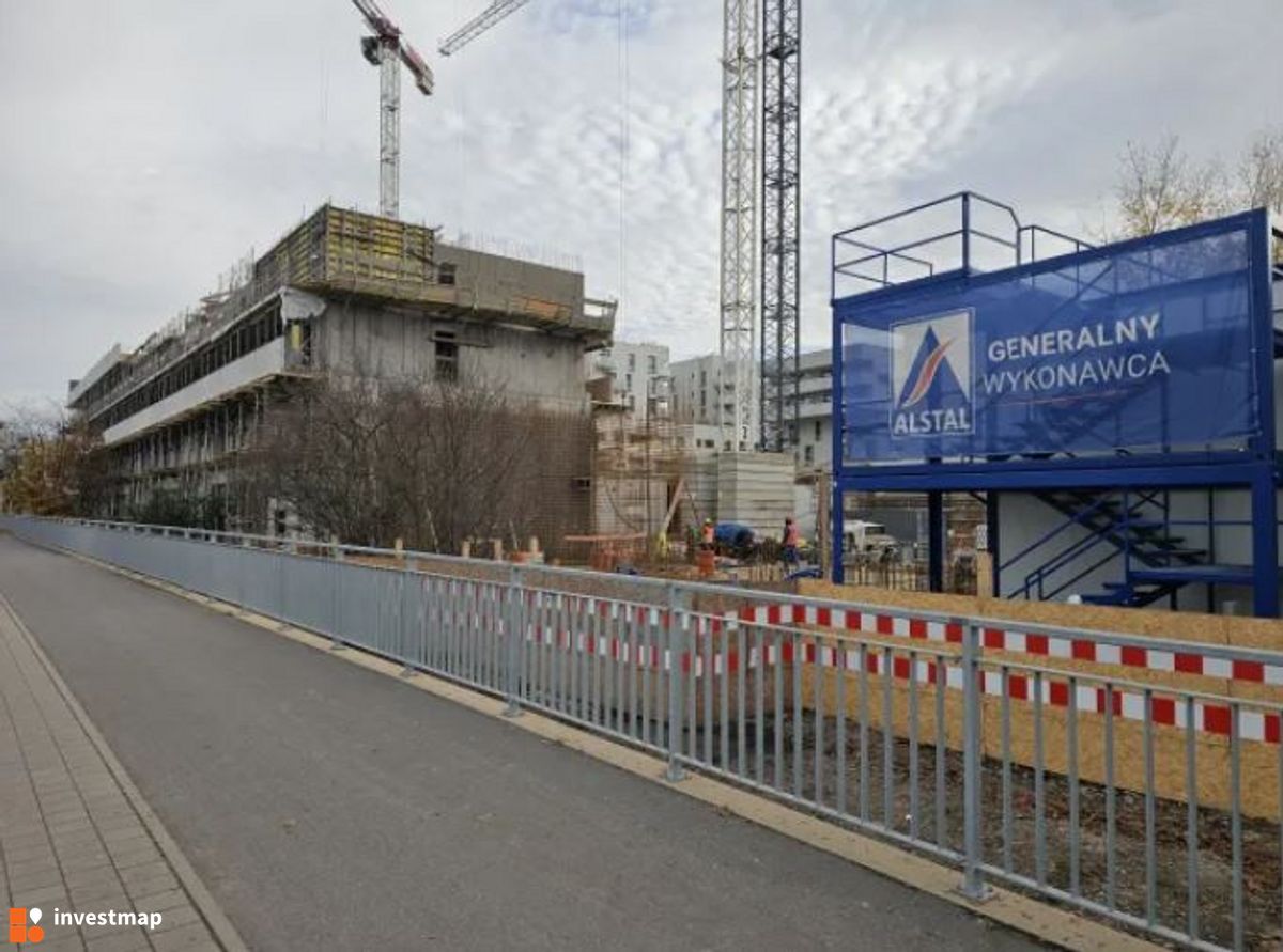 Zdjęcie Kosmos fot. Orzech 