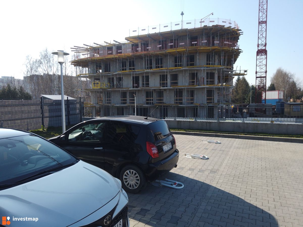 Zdjęcie Drago fot. Damian Daraż 