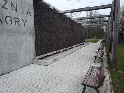 fot. Damian Daraż