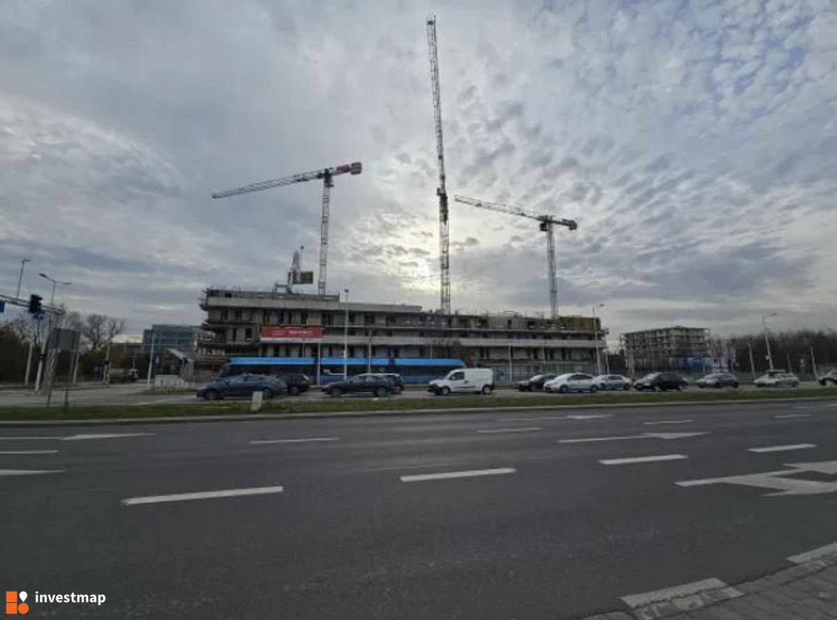 Zdjęcie Kosmos fot. Orzech 