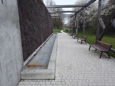 fot. Damian Daraż