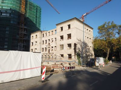 fot. Damian Daraż