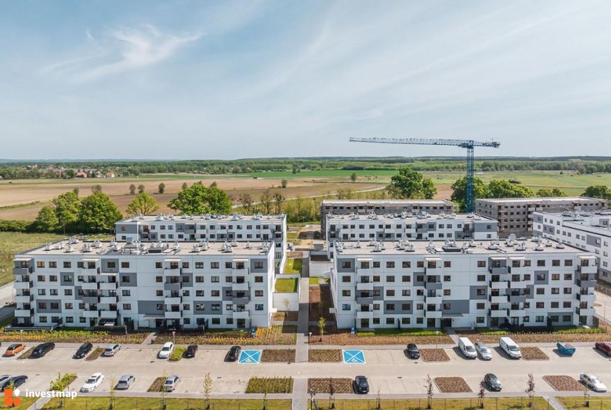 Zdjęcie Zielona Lutynia fot. Orzech 