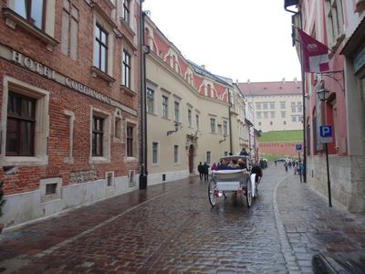 fot. Damian Daraż