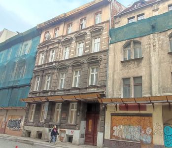fot. Orzech