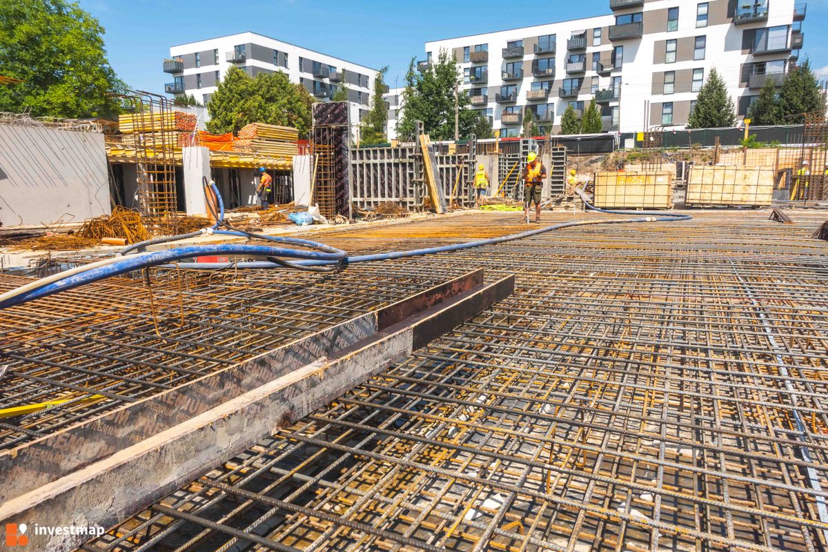 Zdjęcie Goździków fot. PROFIT Development