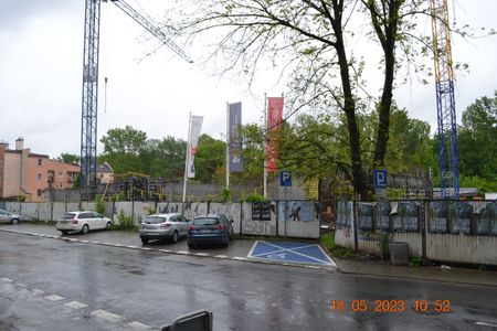 fot. Damian Daraż